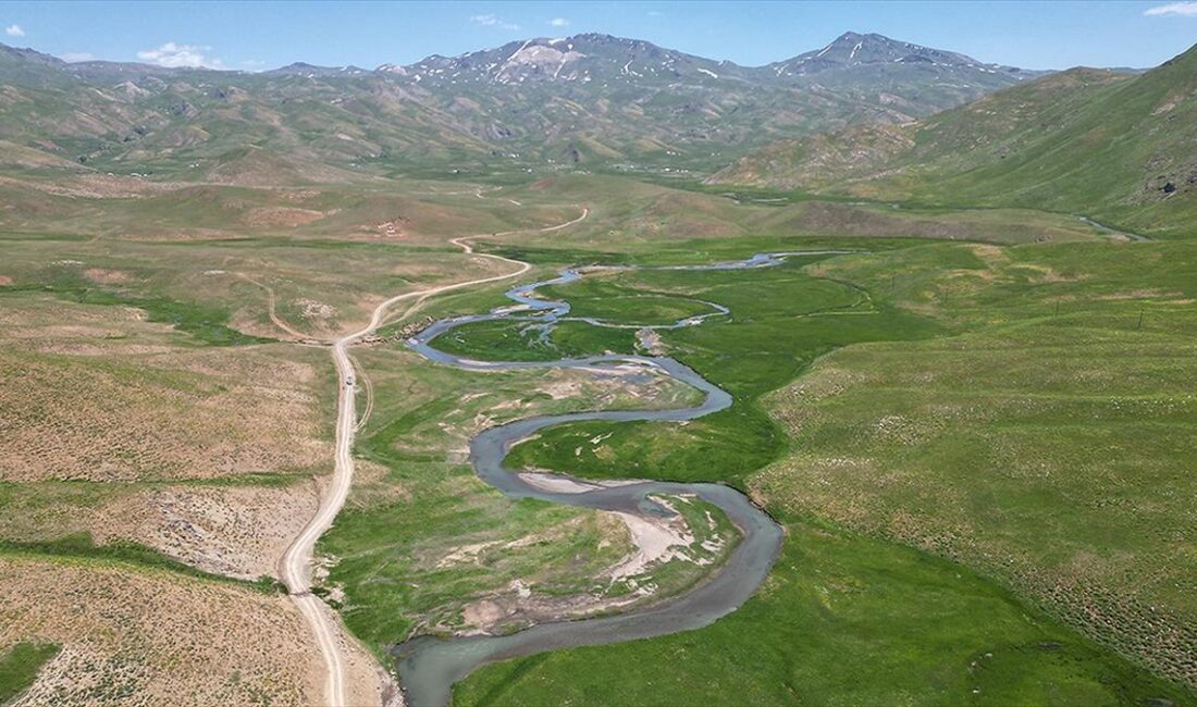 Şırnak'ın Beytüşşebap ilçesinde Faraşin