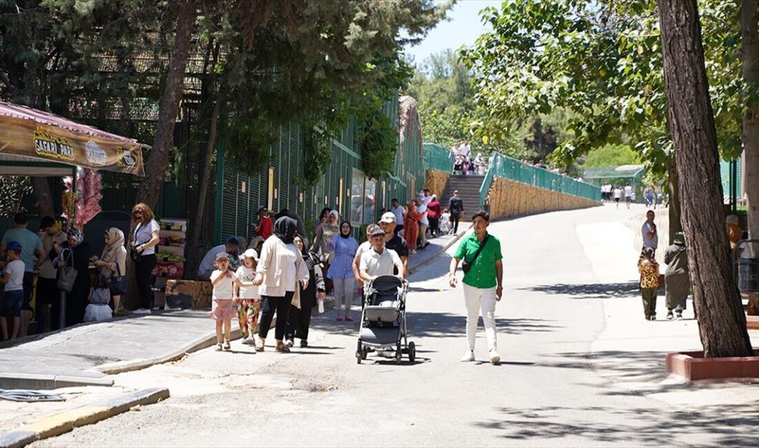 Gaziantep Hayvanat Bahçesi'nde, Kurban