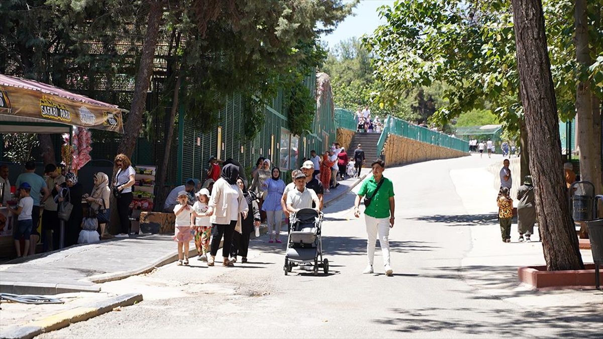 Gaziantep Hayvanat Bahçesi’ni 3 günde 27 bin kişi ziyaret etti