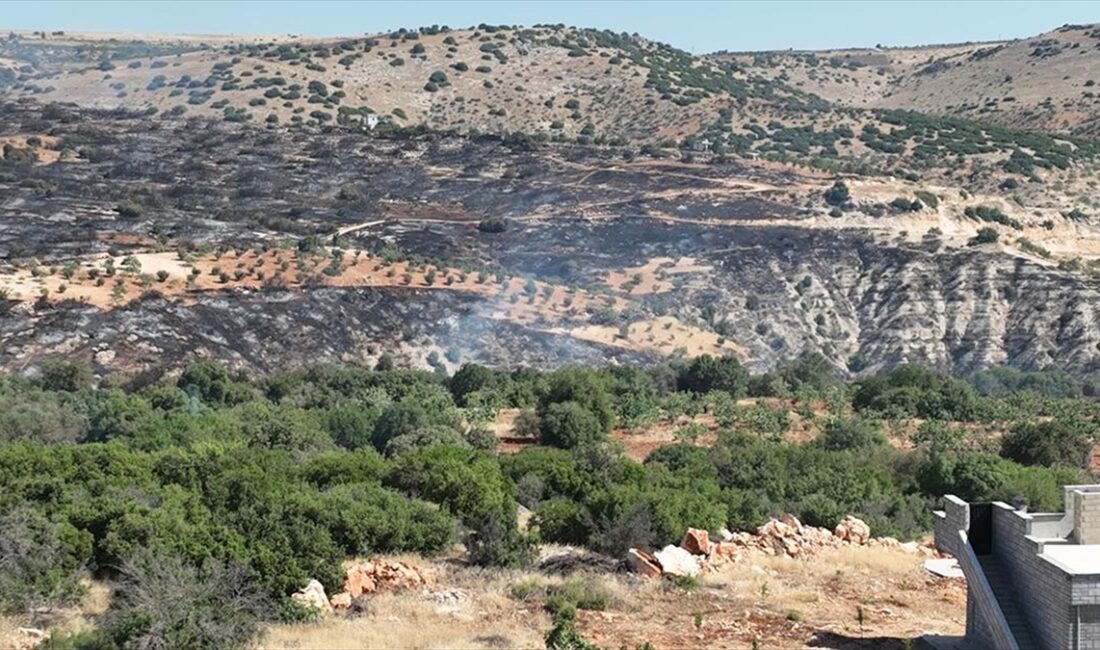 Gaziantep'in Nizip ilçesinde aralarında