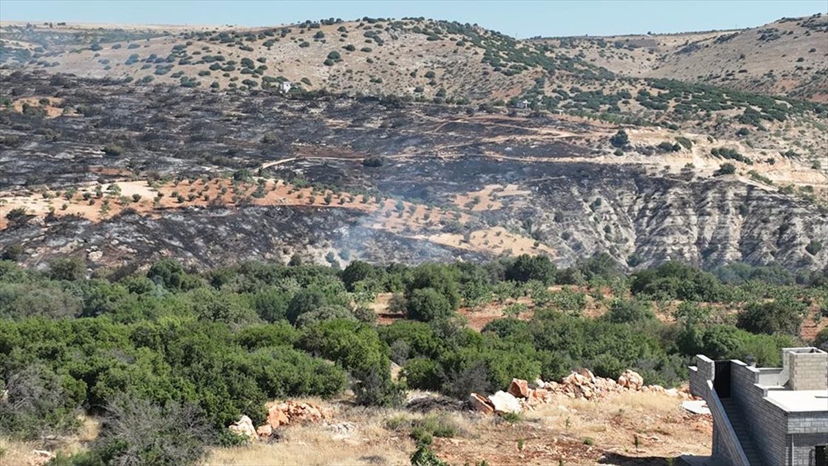 Gaziantep’te fıstık ve zeytin bahçelerinde çıkan yangın kontrol altına alındı