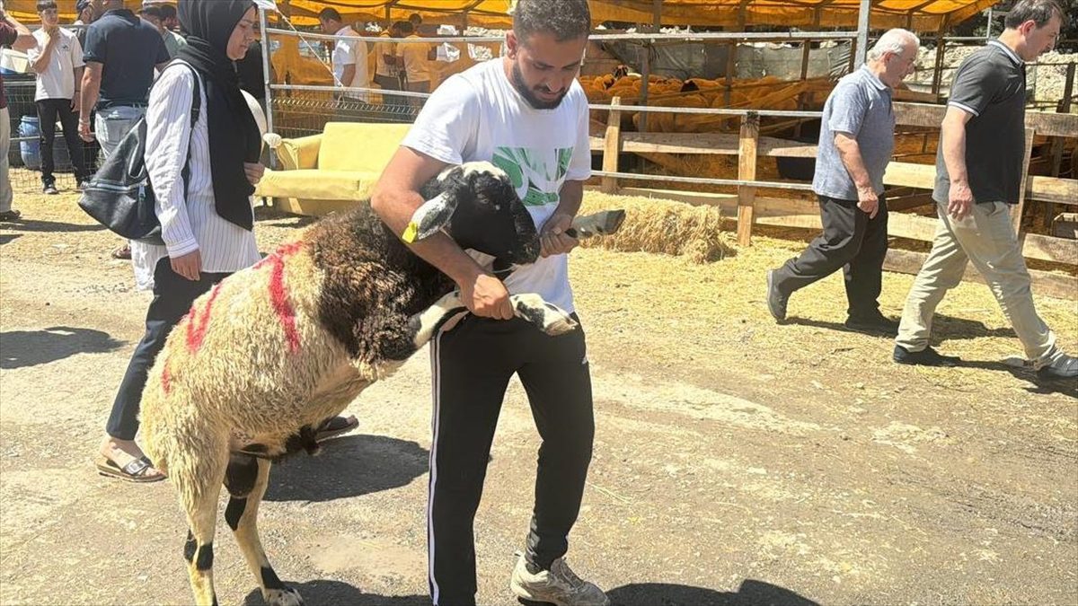 İstanbul’da bayramın 3. gününde kurbanlık alma telaşı sürdü