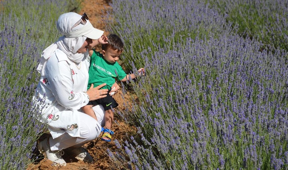 UNESCO Dünya Mirası Listesi'ndeki