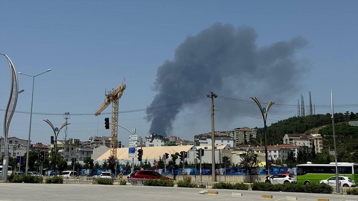 Kocaeli’de palet fabrikasında çıkan yangın kontrol altına alındı