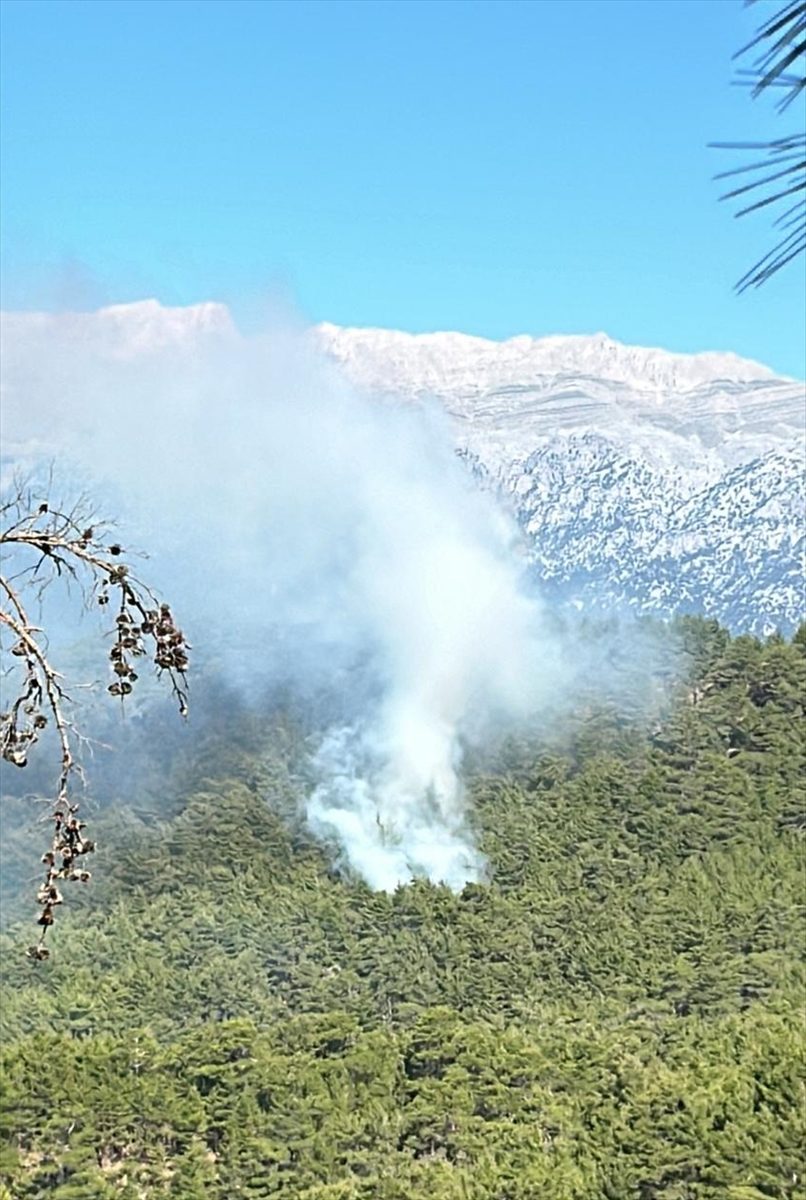 Manavgat'ta çıkan orman yangını kontrol altına alınmaya çalışılıyor