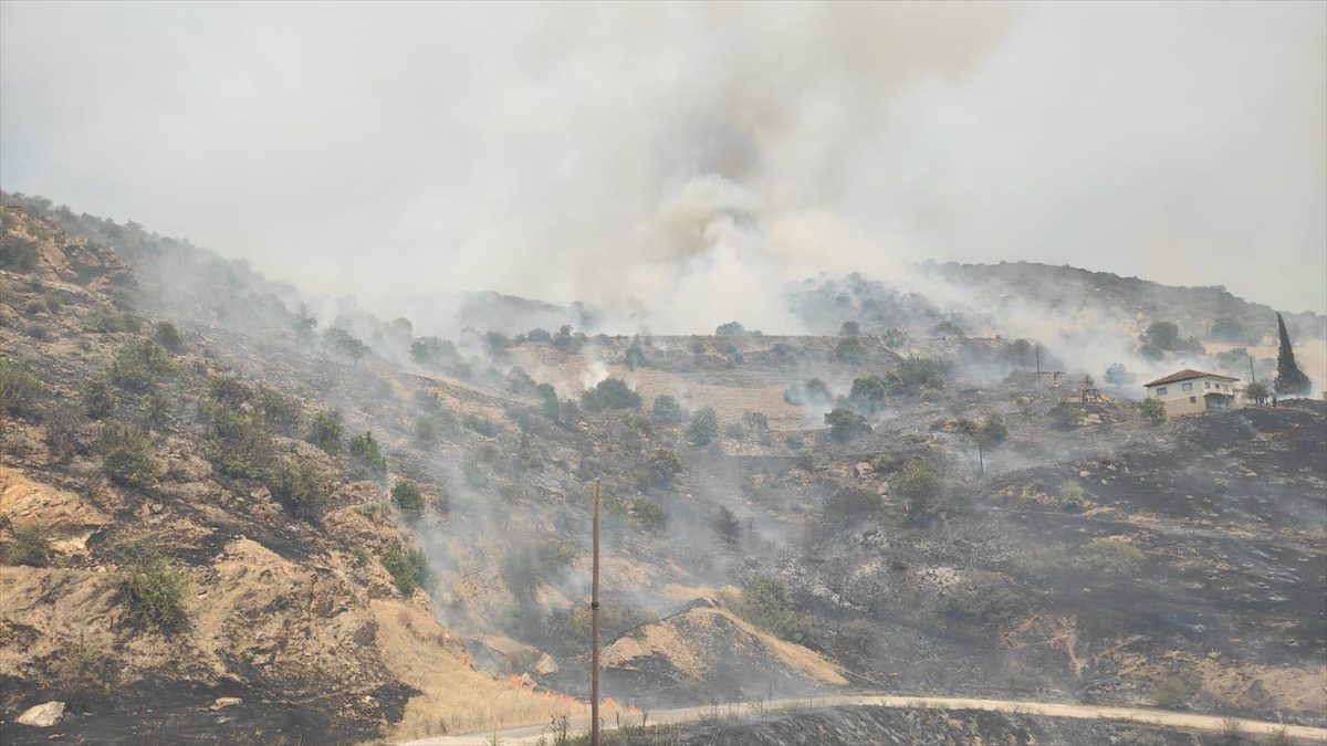 Manisa’da tarım alanında etkili olan yangına müdahale ediliyor