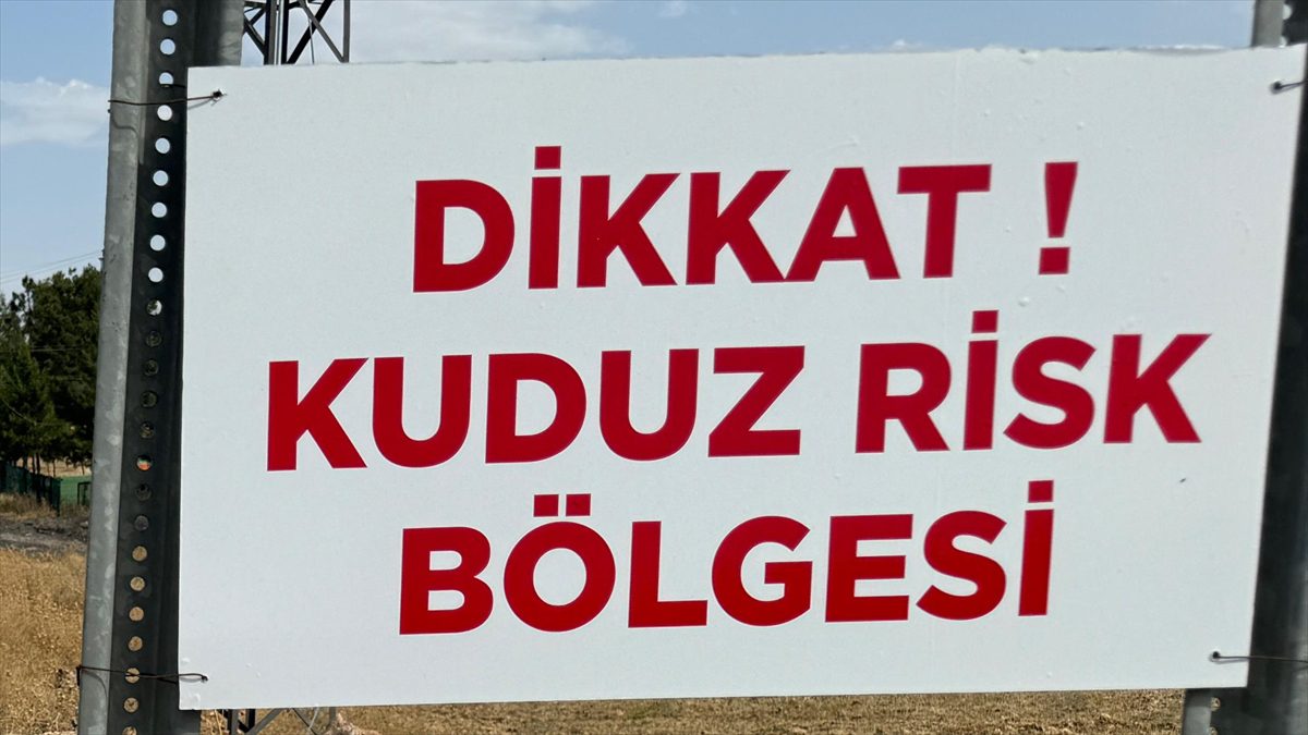 Niğde’de sahipsiz köpeğin bir kişiyi ısırdığı mahallede kuduz karantinası başlatıldı