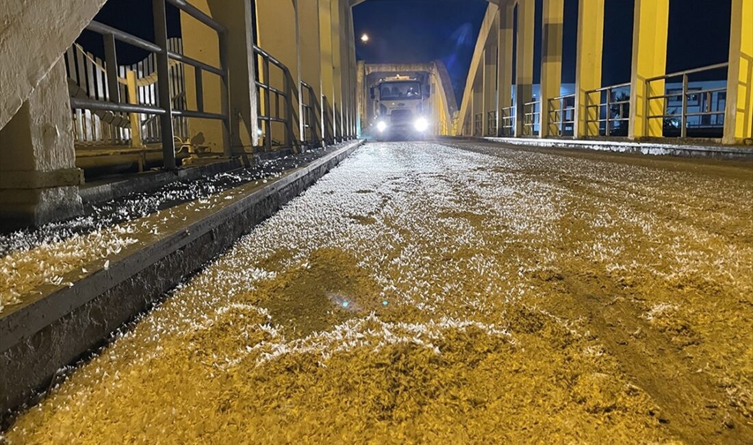 Sakarya Nehri'nden erginleşerek çıkan