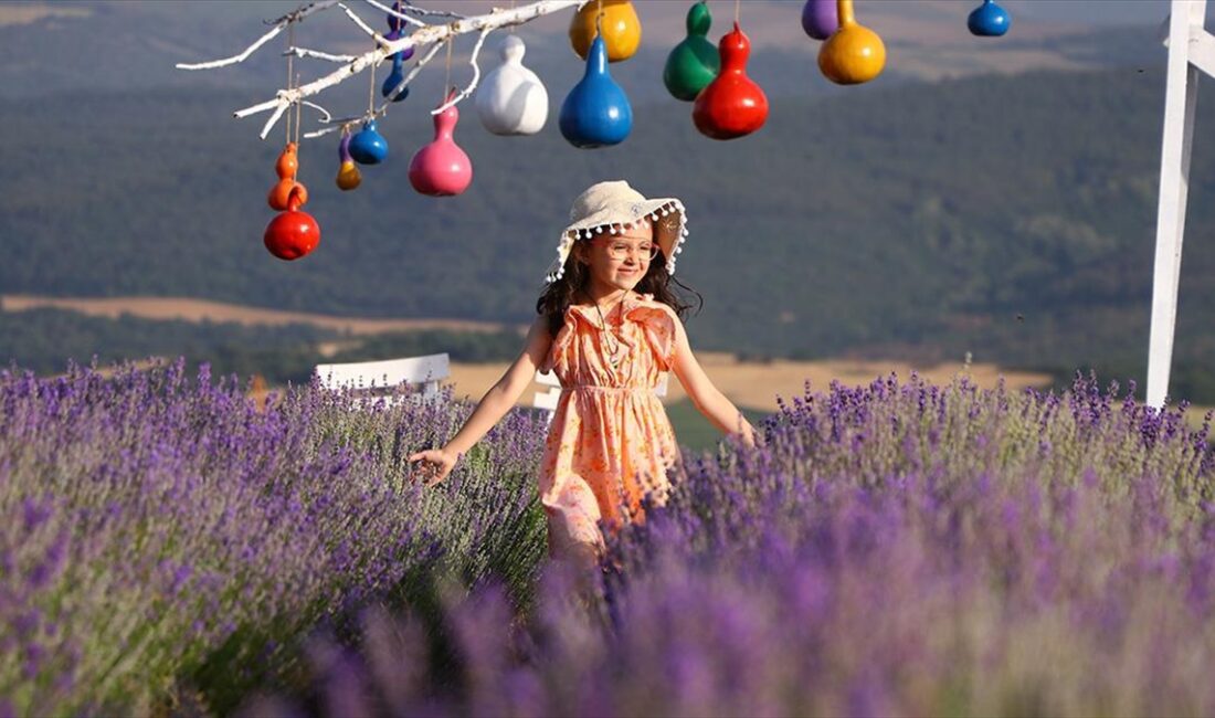 Tekirdağ'da fotoğraf tutkunları, turistlerin