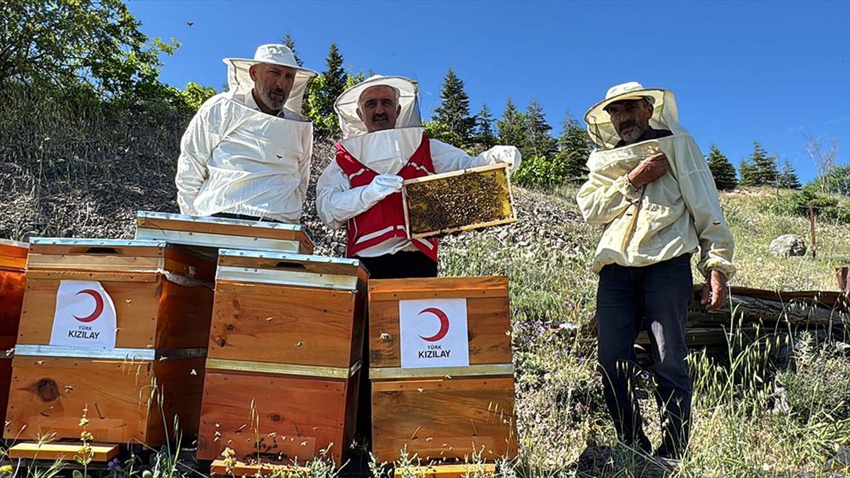 Türk Kızılayın aldığı kovanlara arıcılar bakacak, balın geliri öğrencilere burs olacak