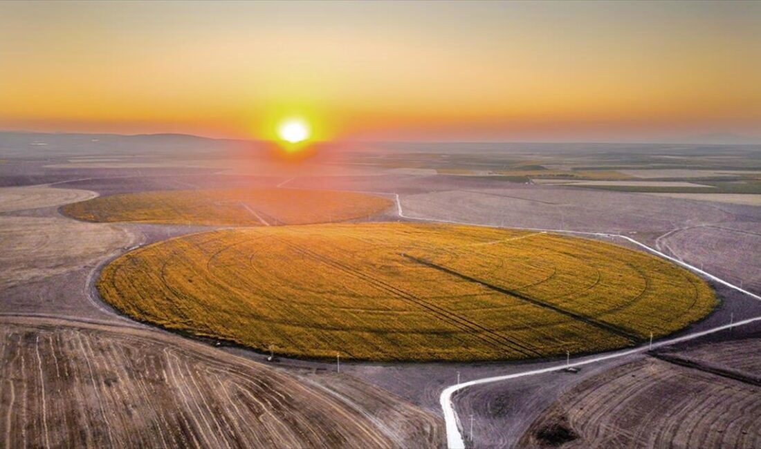 Tarım ve Orman Bakanlığına