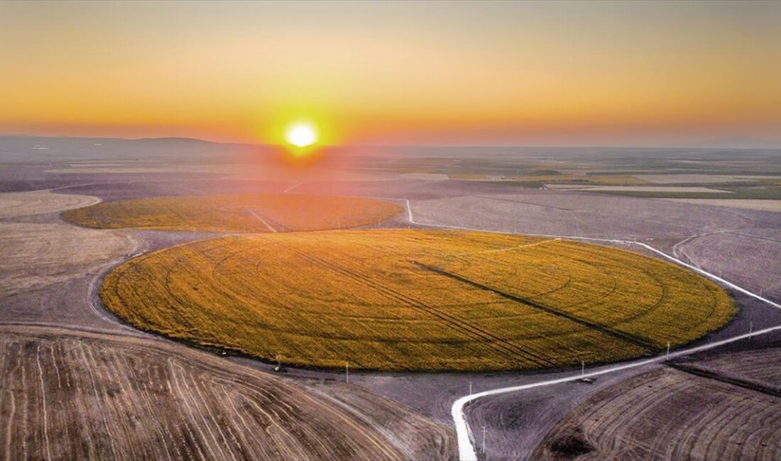 KONYA (AA) – Kadınhanı