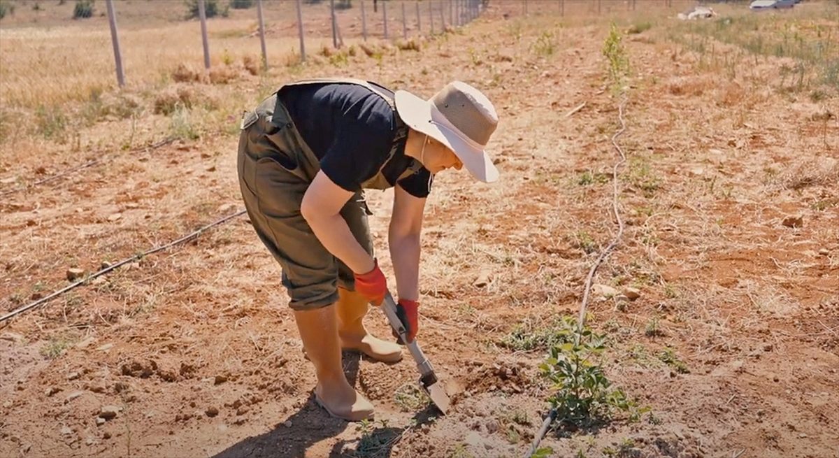 Antalya'da arıtılan atık sular tarımda kullanılmaya başlandı