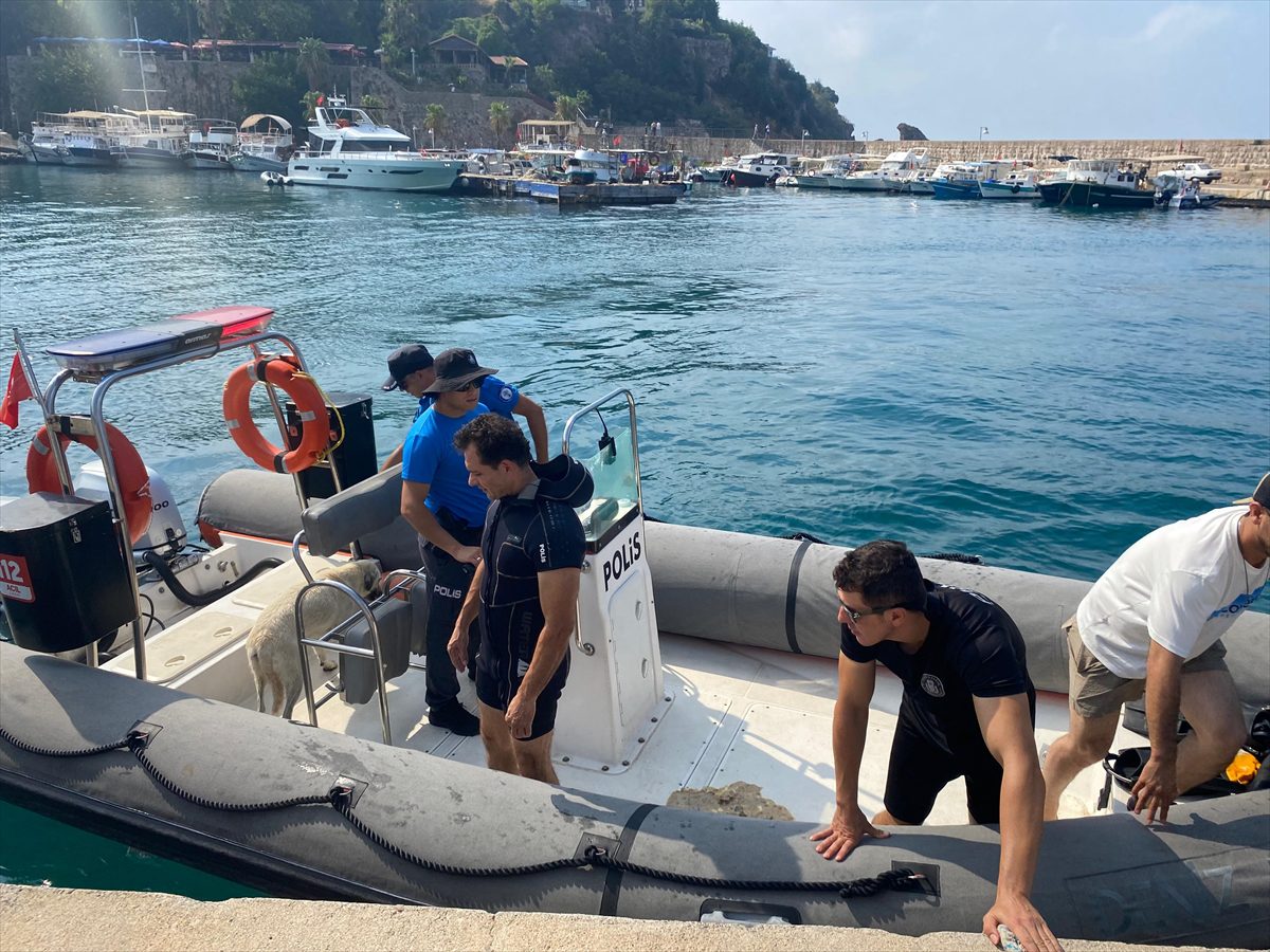 Antalya’da falezlerde mahsur kalan köpeği deniz polisi kurtardı