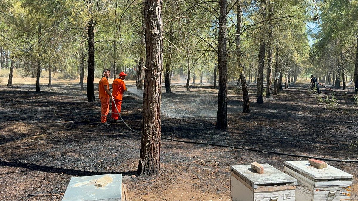 Antalya'da ormanlık alanda çıkan yangın söndürüldü