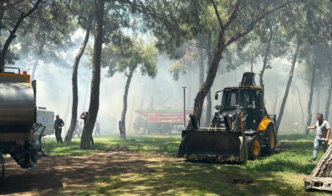 ANTALYA (AA) – Antalya'nın