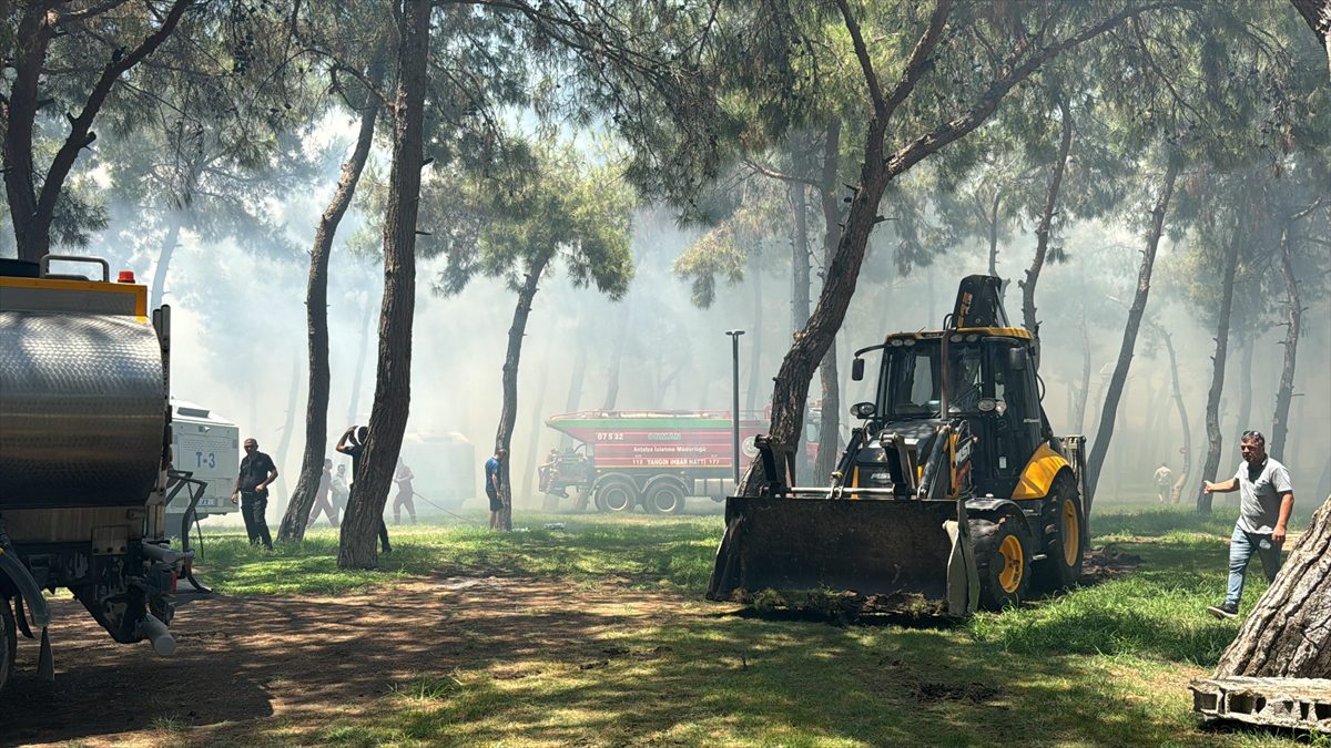 Antalya'da ormanlık alandaki bir restoranda yangın çıktı