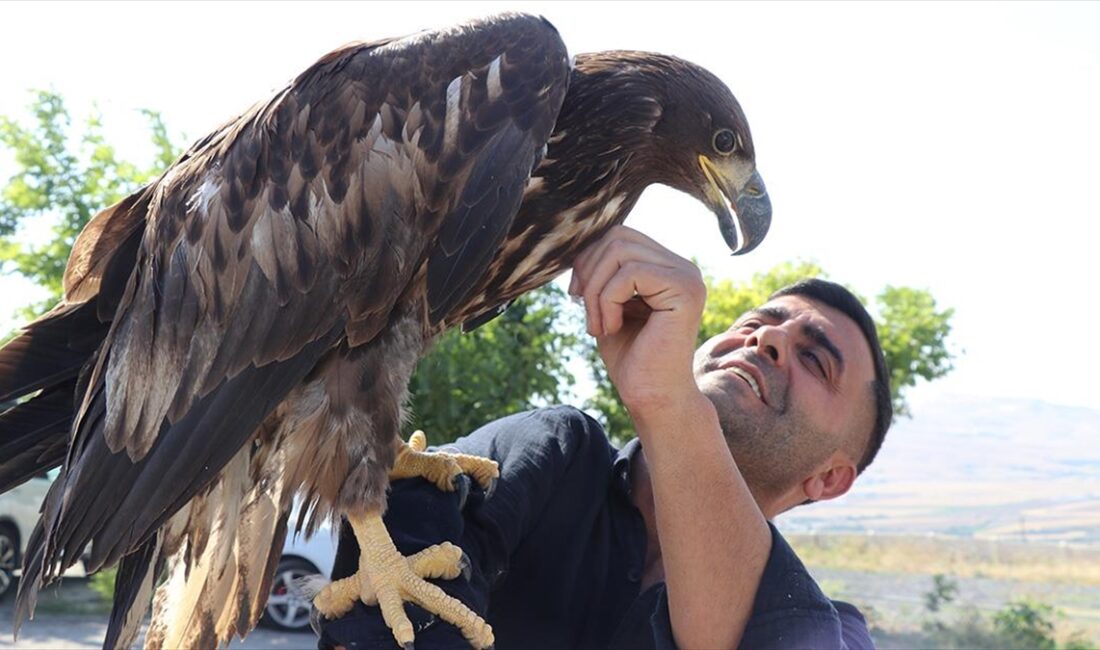 Elazığ'ın Palu ilçesinde kafe