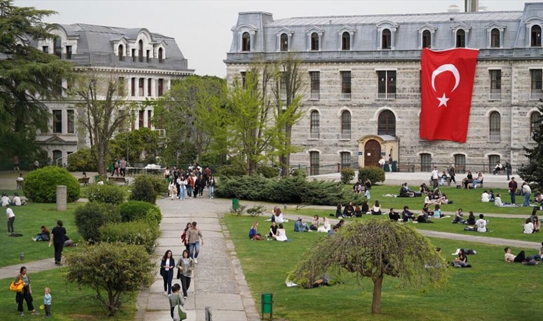 Boğaziçi Üniversitesi, yükseköğretim derecelendirme