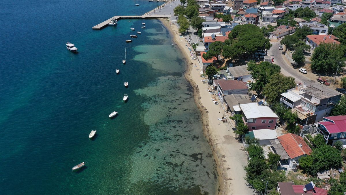 Denize girmelerini zorlaştırdığı için kepçeyle koruma altındaki deniz çayırlarını söktürdüler