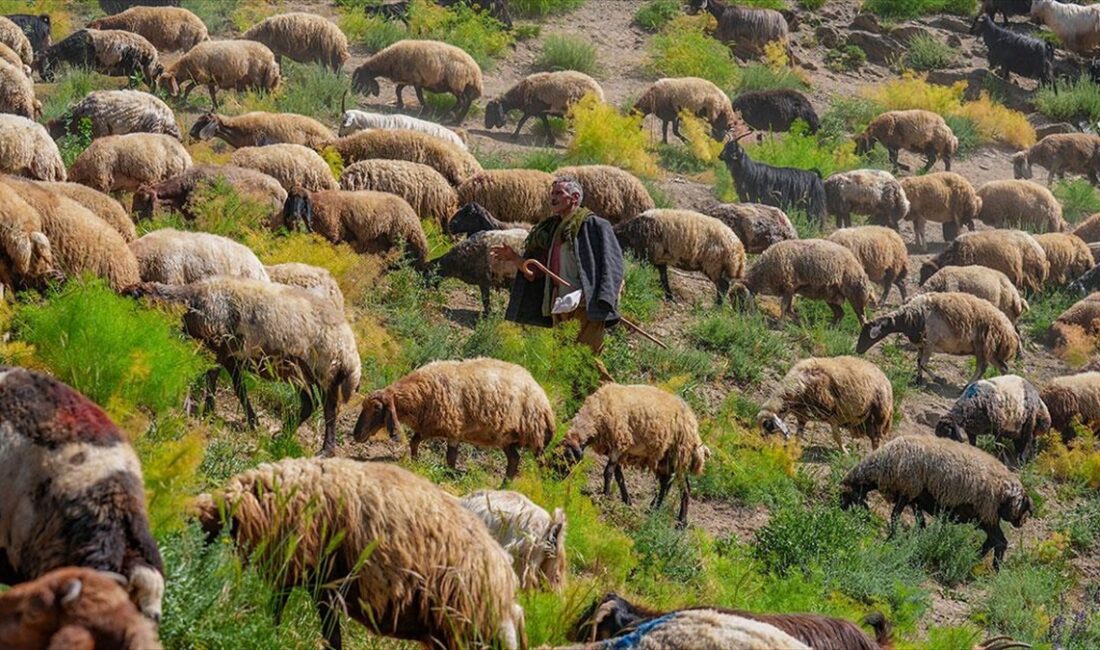 Şırnak'ın Beytüşşebap ilçesindeki Faraşin