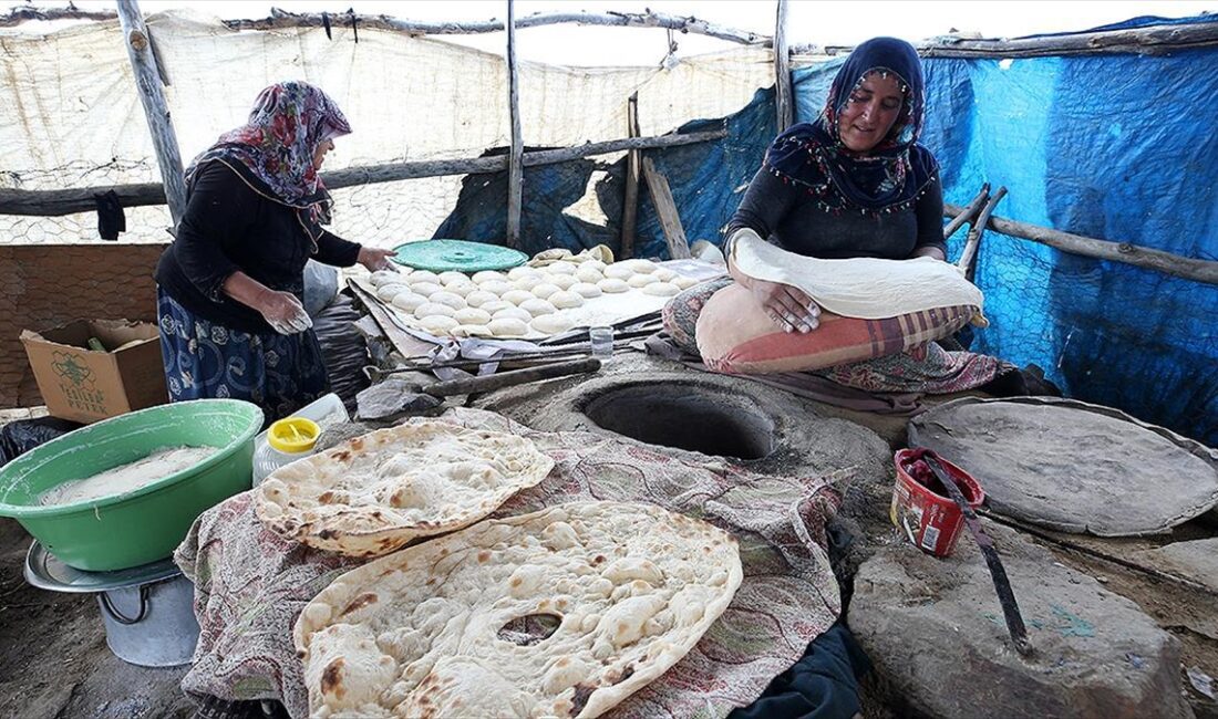 Muş'ta Kurtik Dağı eteğinde