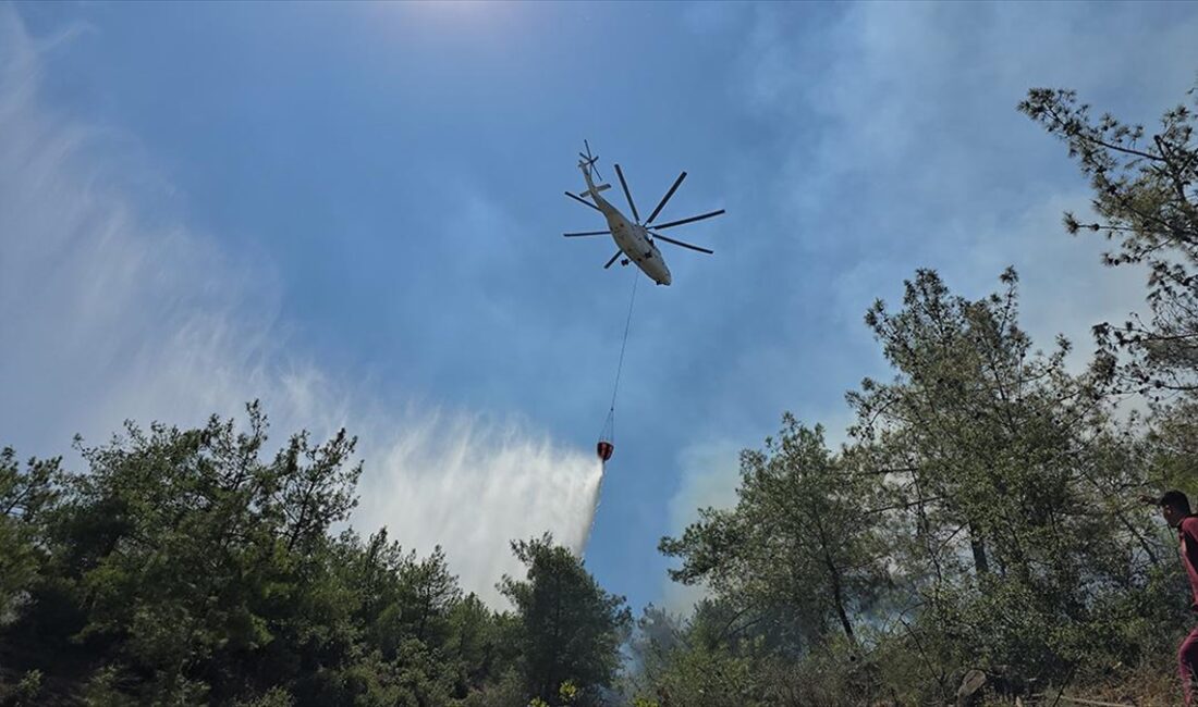 Hatay'ın Hassa ilçesinde ormanlık