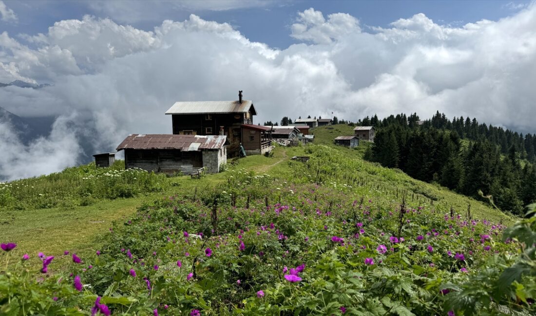 Türkiye'nin önemli doğa turizmi