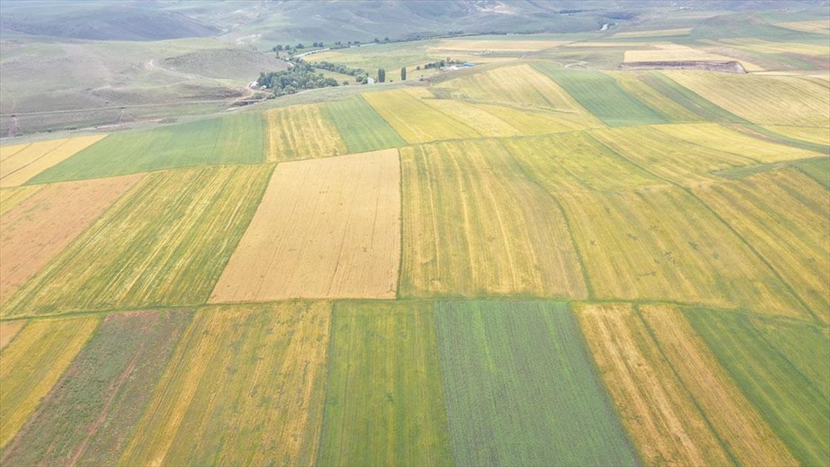 Kars’ta atıl durumdaki 48 bin 500 dekarlık alan üretime kazandırıldı