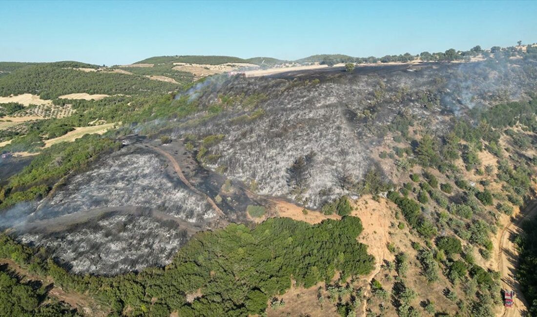 İlçeye bağlı kırsal Hamidiye