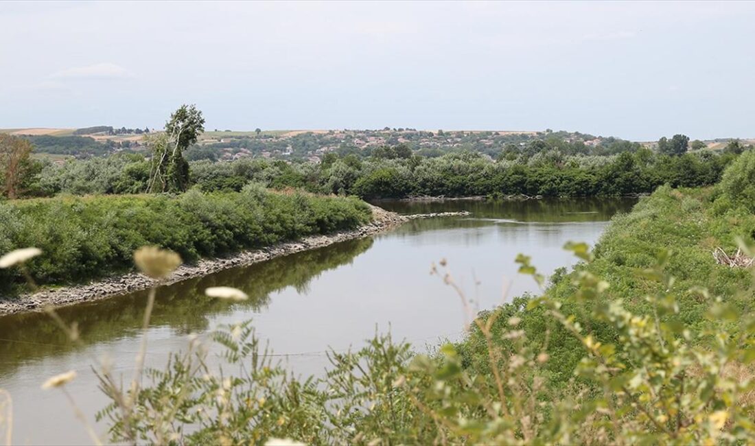 Edirne'de kuraklık ve tarımsal