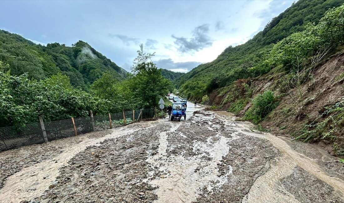 Ordu'nun İkizce ilçesinde bazı