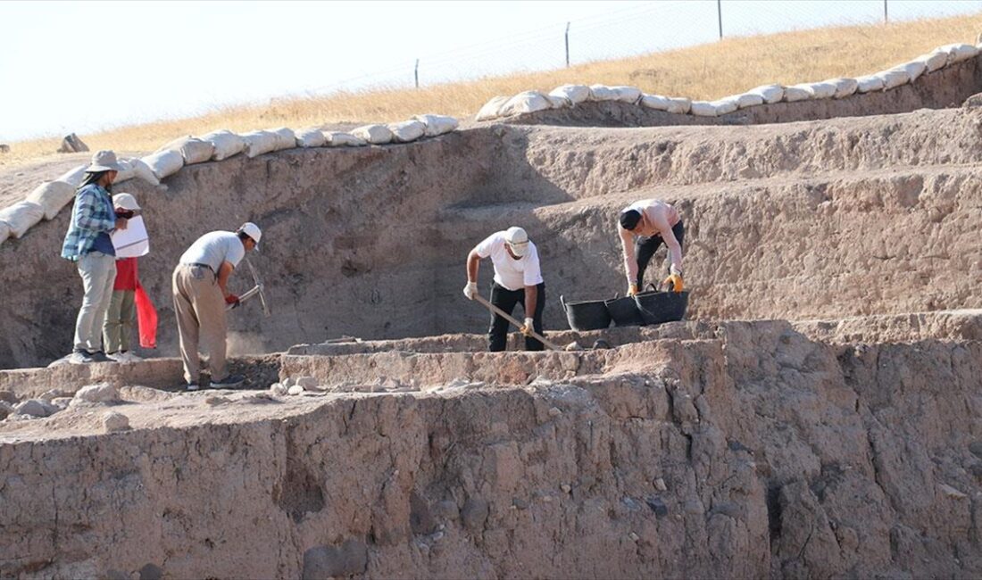 Güneydoğu Anadolu Bölgesi'nin en