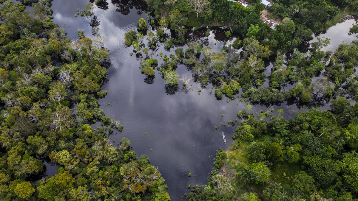 Peru'daki Amazon ormanlarında temas kurulmamış kabile görüntülendi