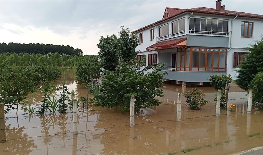 Samsun'da Terme ve Salıpazarı