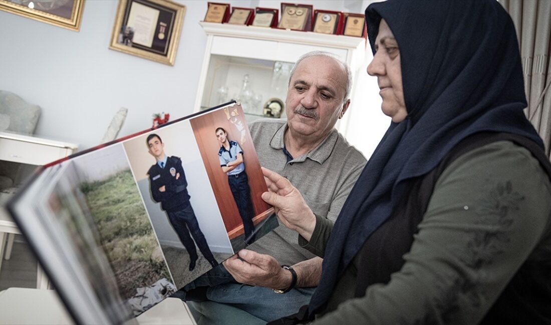 Fetullahçı Terör Örgütü'nün (FETÖ)