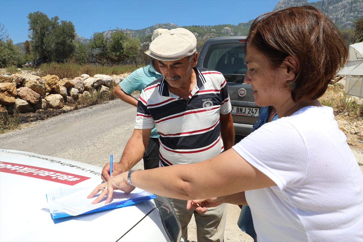 Serik'teki orman yangınında zarar gören tarım arazilerinde hasar tespiti yapıldı