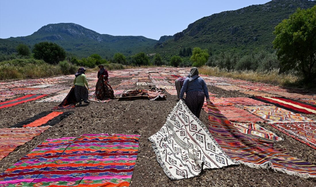 ANTALYA (AA) – SÜLEYMAN