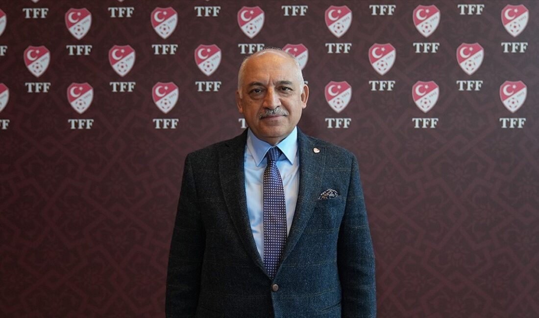 Türkiye Futbol Federasyonu (TFF)