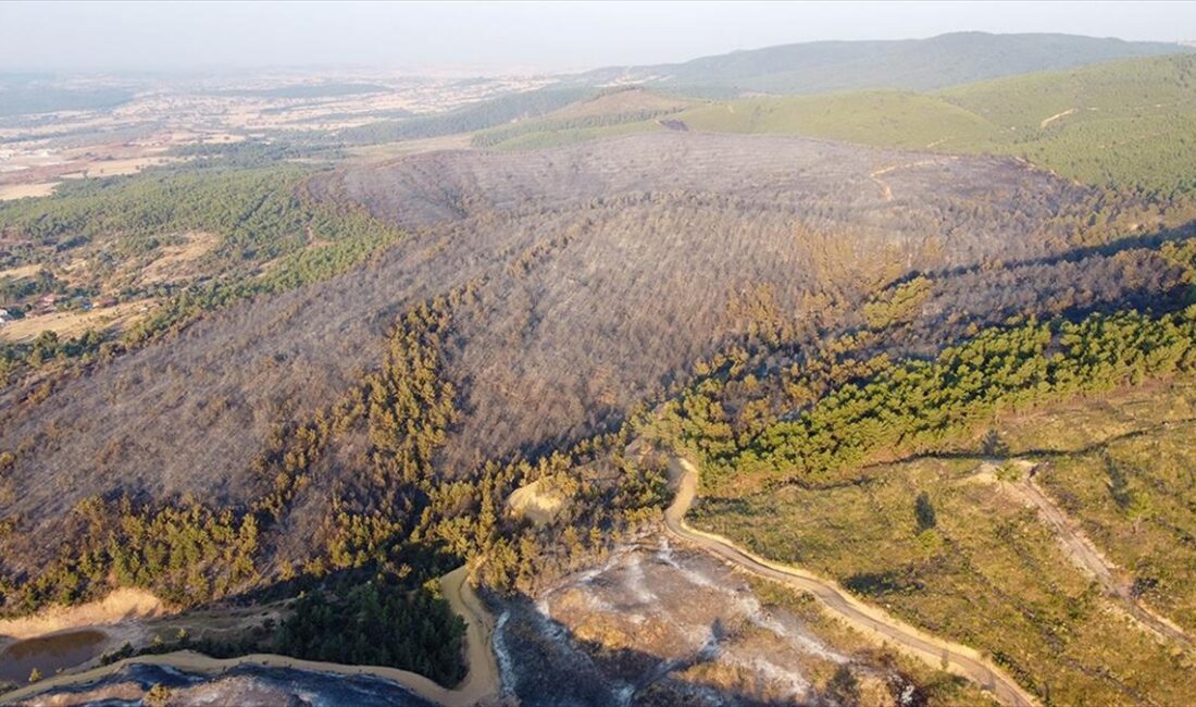 Uşak'ta ilçesinde dün iki