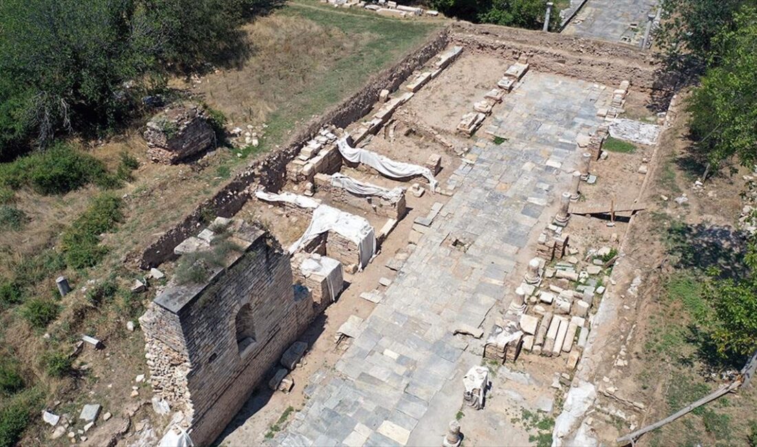 Aydın'ın Karacasulu ilçesinde devam