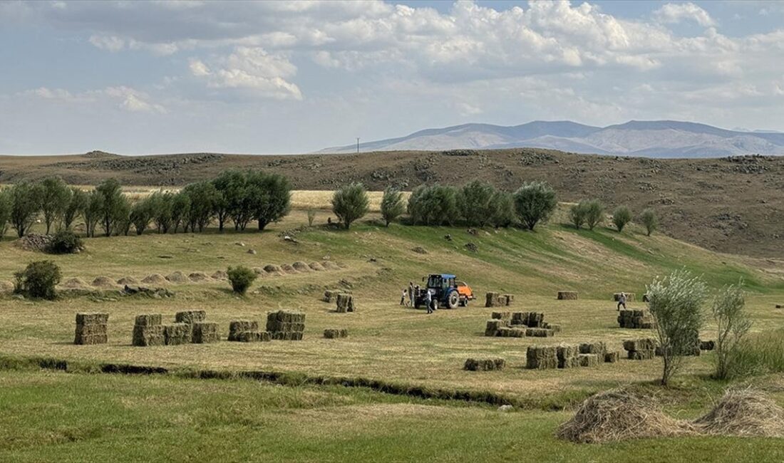 Tarım makineleri ve tırpanlarla