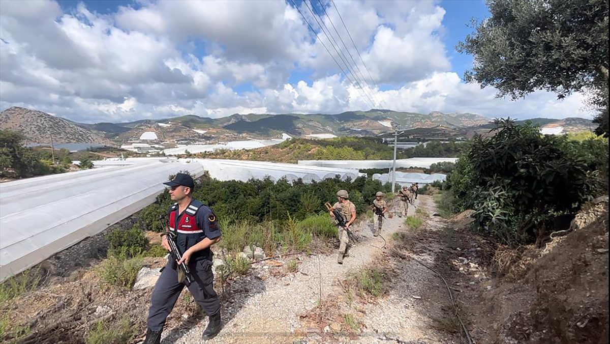 Alanya'da jandarma, tropikal meyve hırsızlığına karşı denetim yapıyor