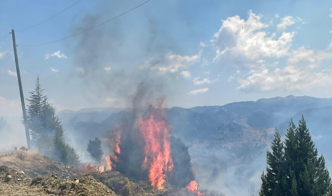 ANTALYA (AA) – Antalya’nın