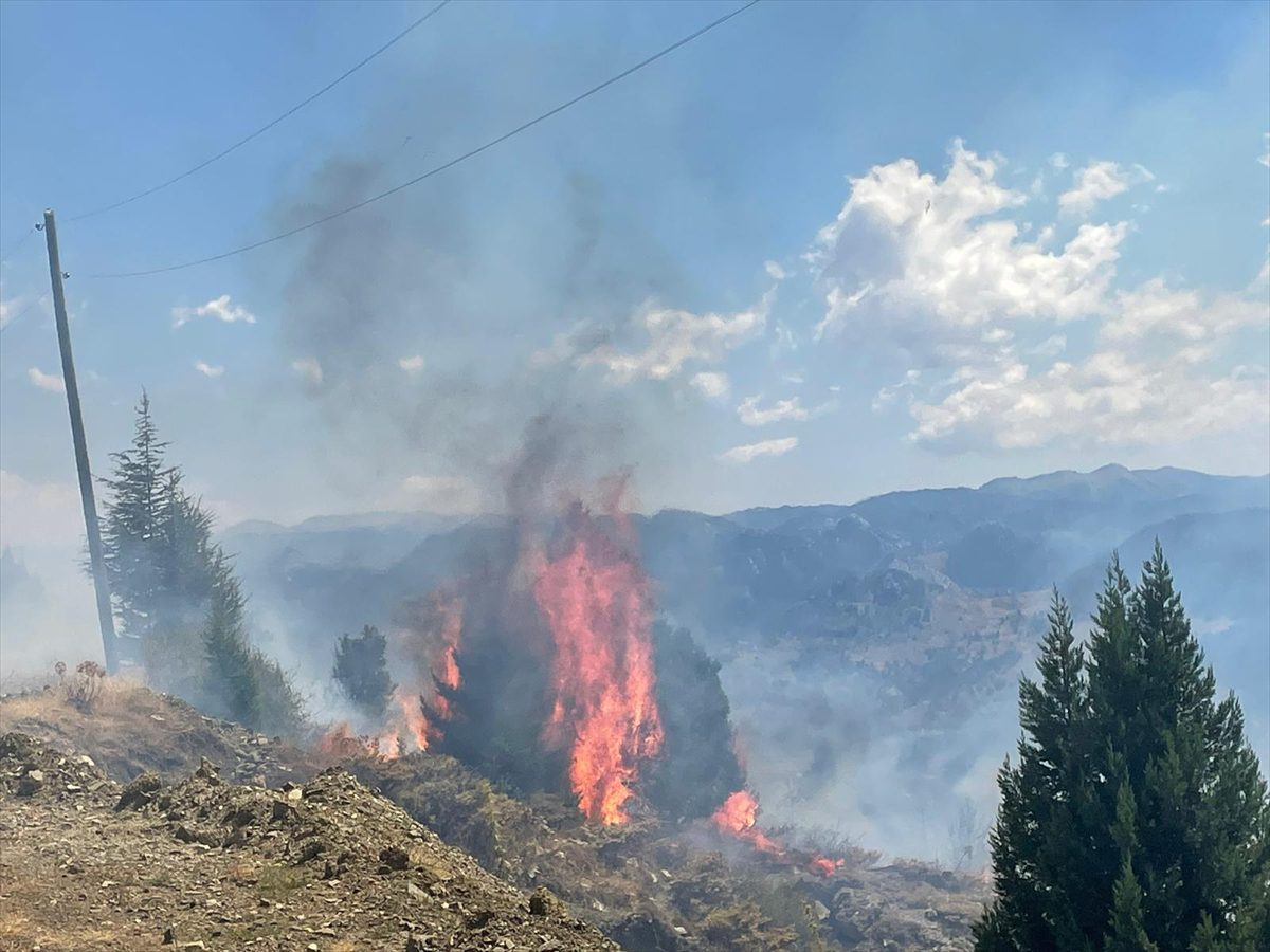 Alanya'da makilik alanda çıkan yangın kontrol altına alındı