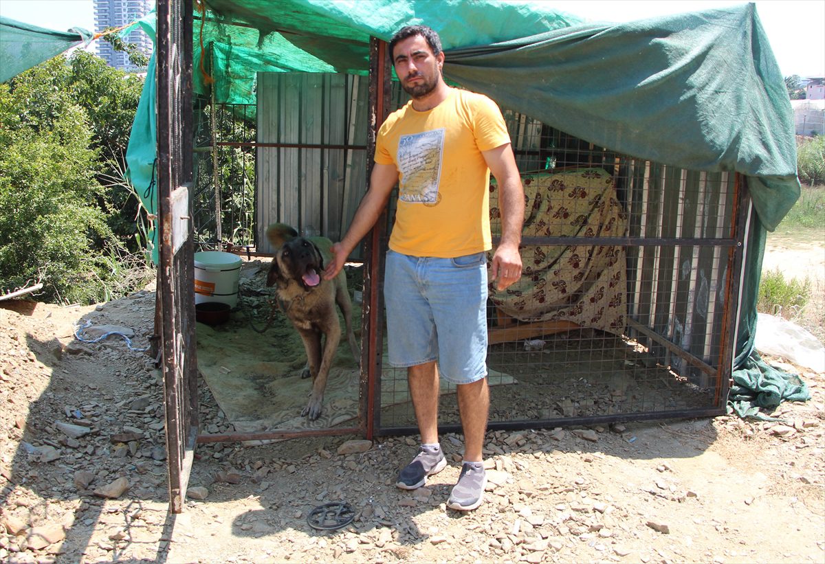 Alanya’da sahipli köpeğin saldırısına uğrayan Kazakistan uyruklu çocuk yaralandı