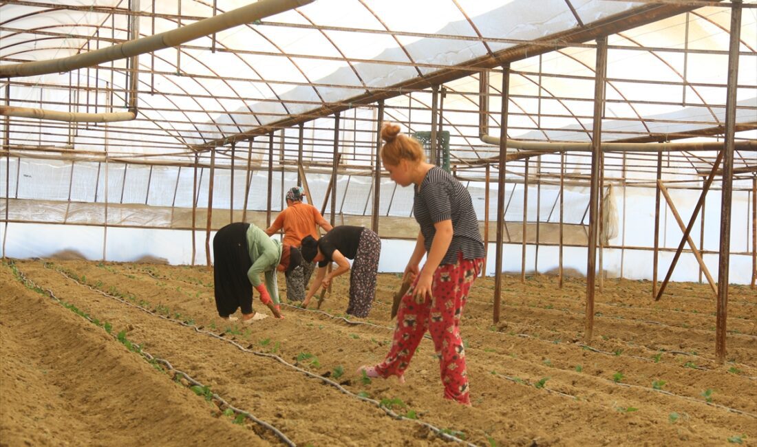 ANTALYA (AA) – Antalya’da