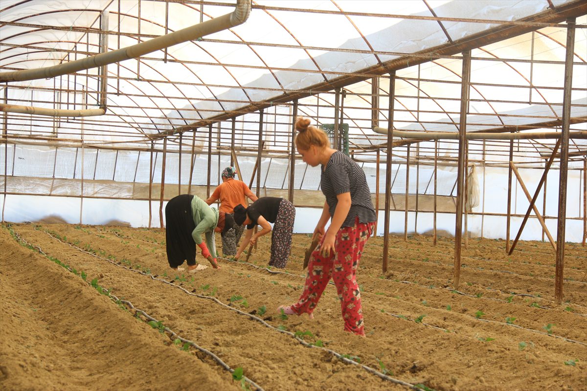 Antalya’da çiftçiler kavurucu sıcaklara rağmen üretim mesaisinde