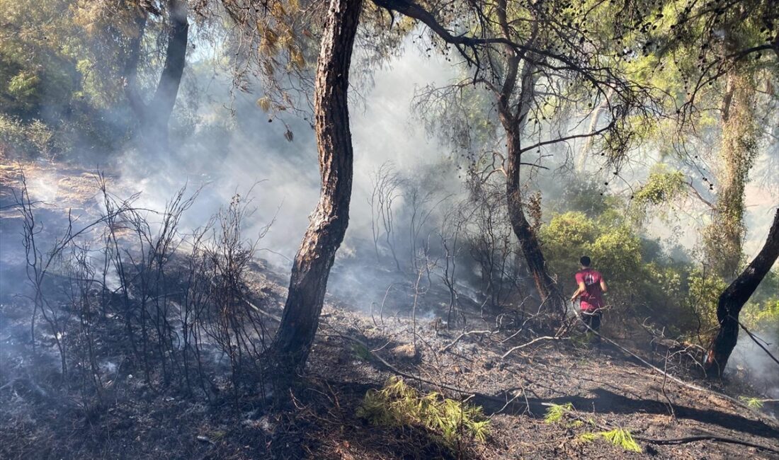 ANTALYA (AA) – Antalya’da