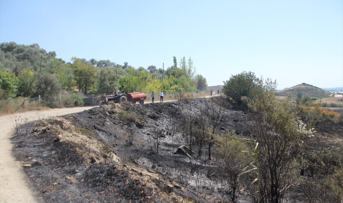 ANTALYA (AA) – Antalya’da